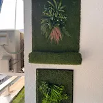 Las Brisas Urban Apartment *